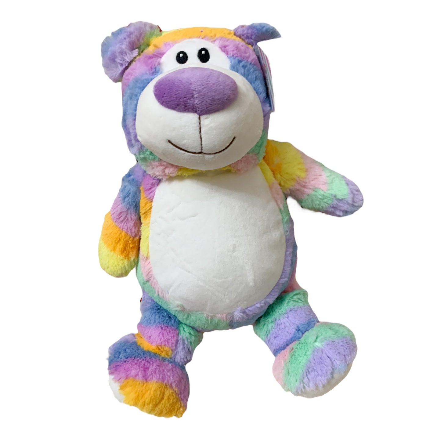 Rainbow happy bear