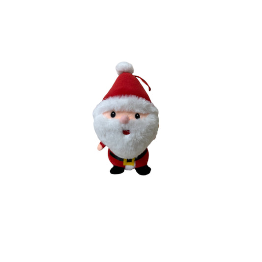 Small santa